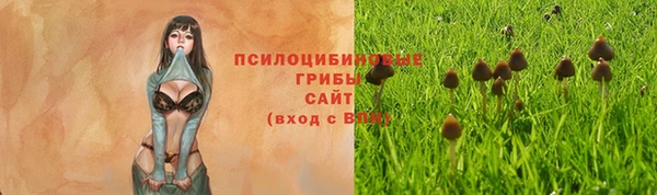 хмурый Верхнеуральск